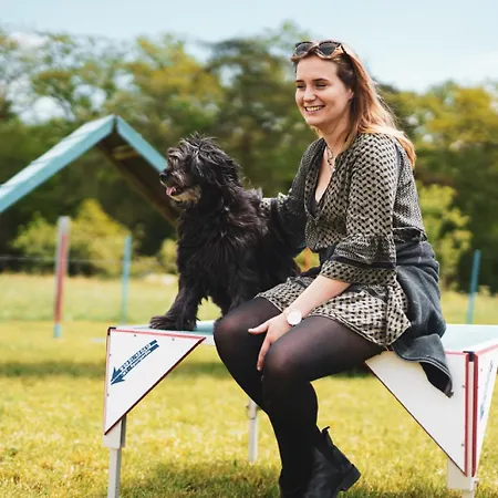 Hof Koehne - Altes - Hase Apartment Schmallenberg