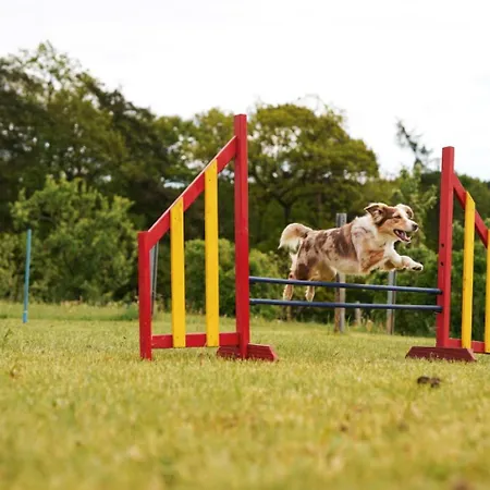 Hof Köhne - Altes - Hase Schmallenberg