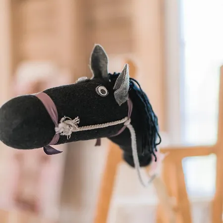 Apartment Hof Koehne - Altes - Hase *