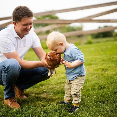 Hof Koehne - Altes - Hase *