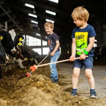 Hof Koehne - Altes - Hase Apartment *