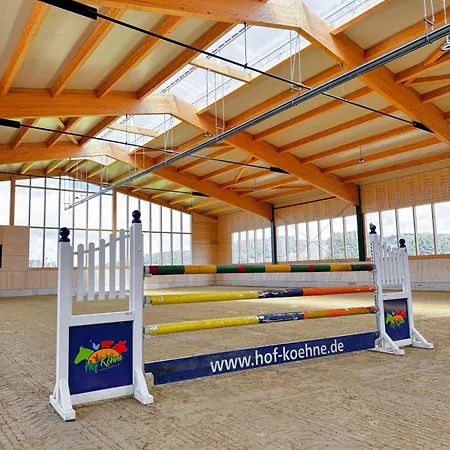 Hof Köhne - Altes - Hase Schmallenberg