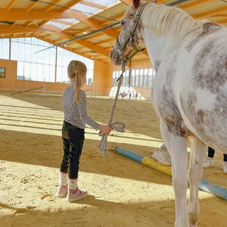 Hof Koehne - Altes - Hase