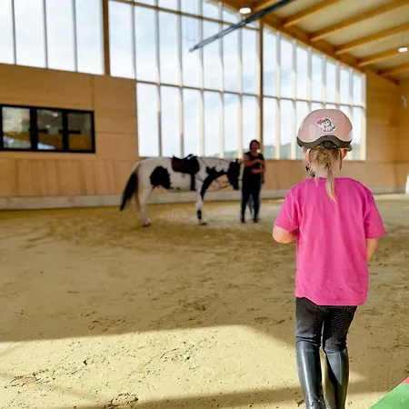 Apartment Hof Köhne - Altes - Hase *