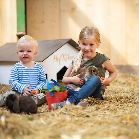 Hof Koehne - Altes - Hase Apartment Schmallenberg