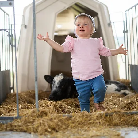 Hof Koehne - Altes - Hase Apartment Schmallenberg