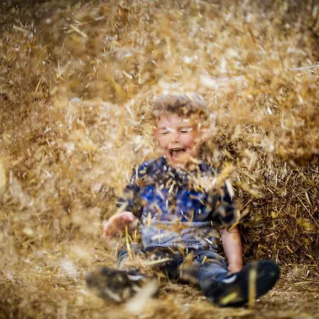 Apartment Hof Koehne - Altes - Hase *