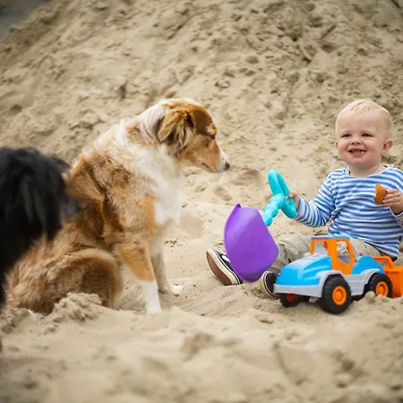 Apartment Hof Koehne - Altes - Hase