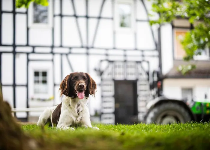 Hof Koehne - Altes - Hase Apartamento Schmallenberg