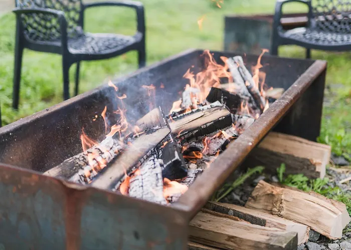 Hof Koehne - Altes - Hase Schmallenberg