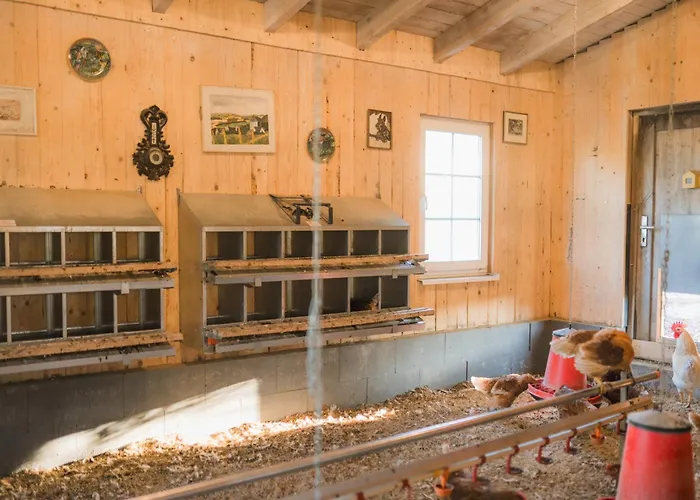 Hof Koehne - Altes - Hase Apartamento *