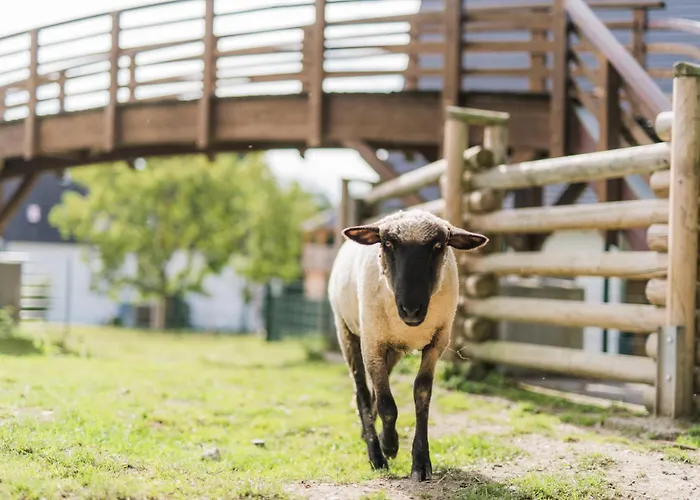 Hof Koehne - Altes - Hase Apartamento