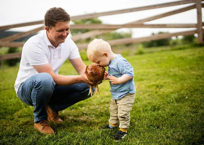 Hof Koehne - Altes - Hase *